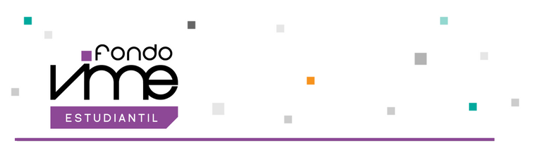 Fondo VIME Estudiantil | Preguntas y respuestas