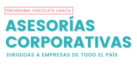 Empresas y organizaciones convocadas al Programa Vincúlate Usach