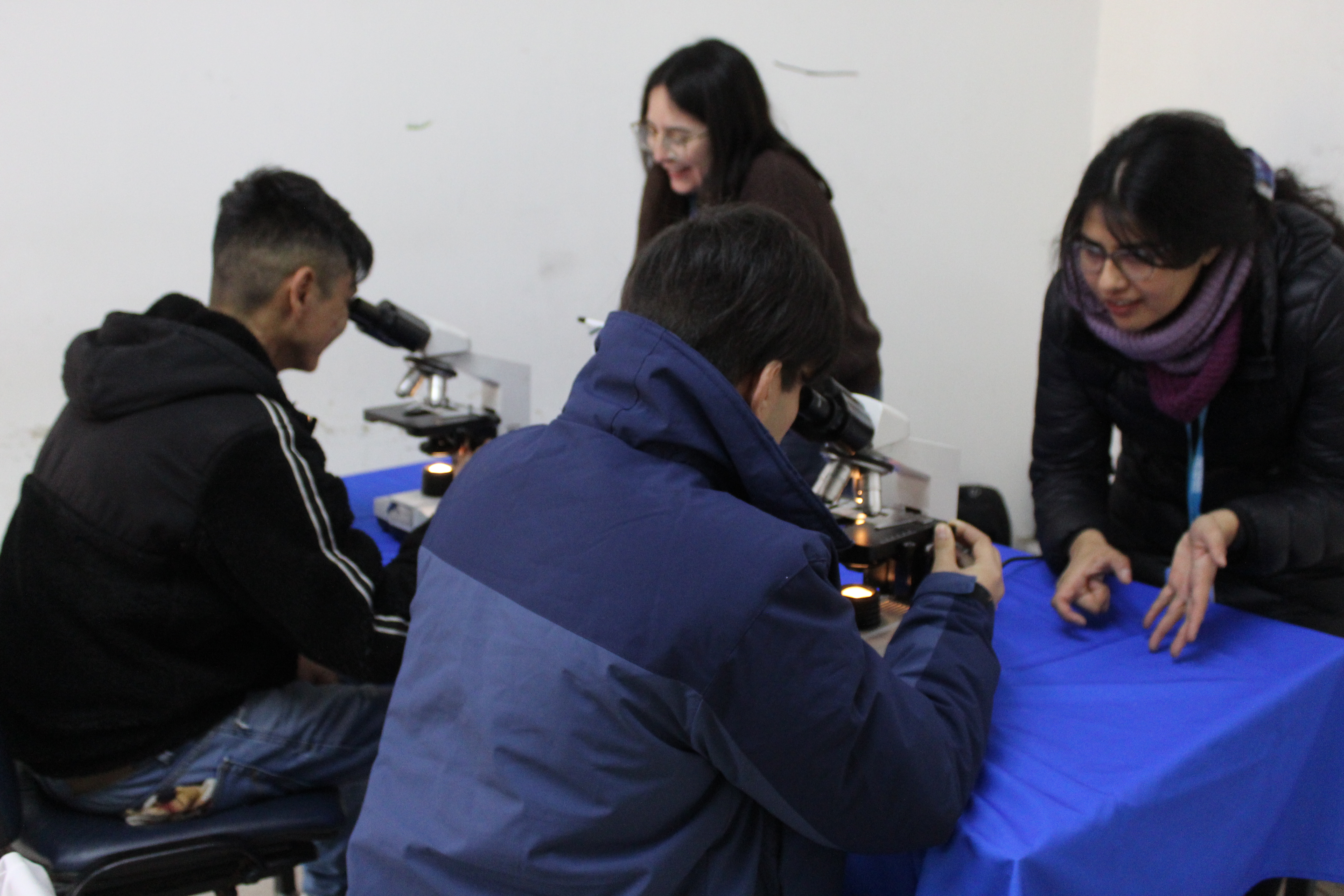 Dos personas observando muestras orgánicas en microscopios.
