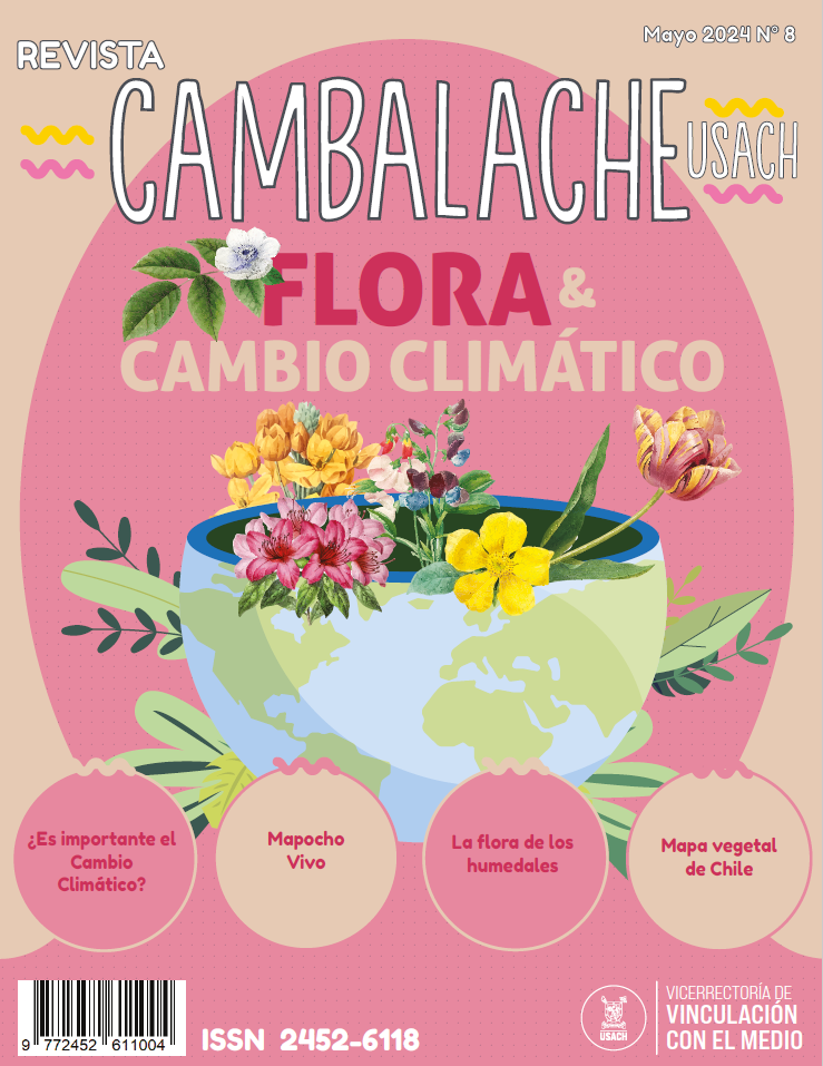 Lanzamiento Revista Cambalache N°8 "Flora y Cambio Climático"