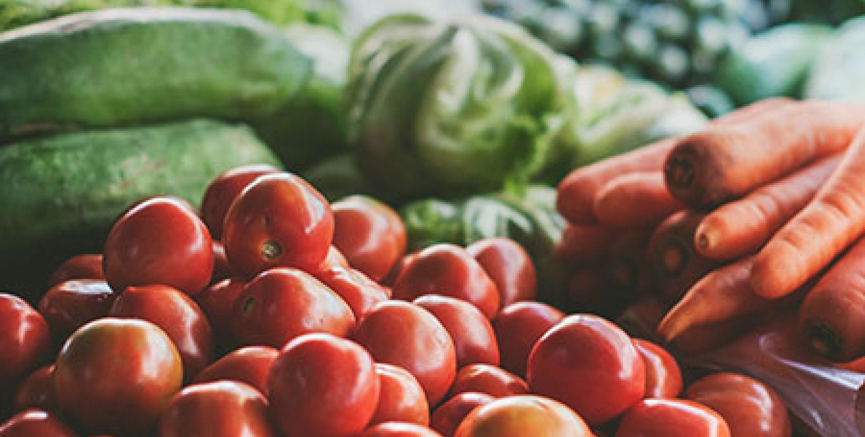  Conferencia "Aportes de la agricultura urbana, suburbana y familiar a la alimentación saludable"