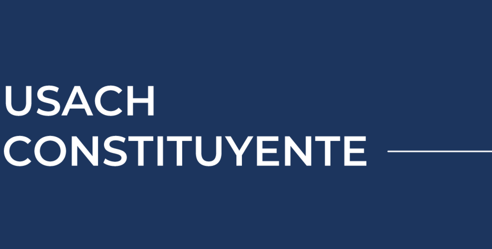 Talleres "Policy Brief" - Usach Constituyente