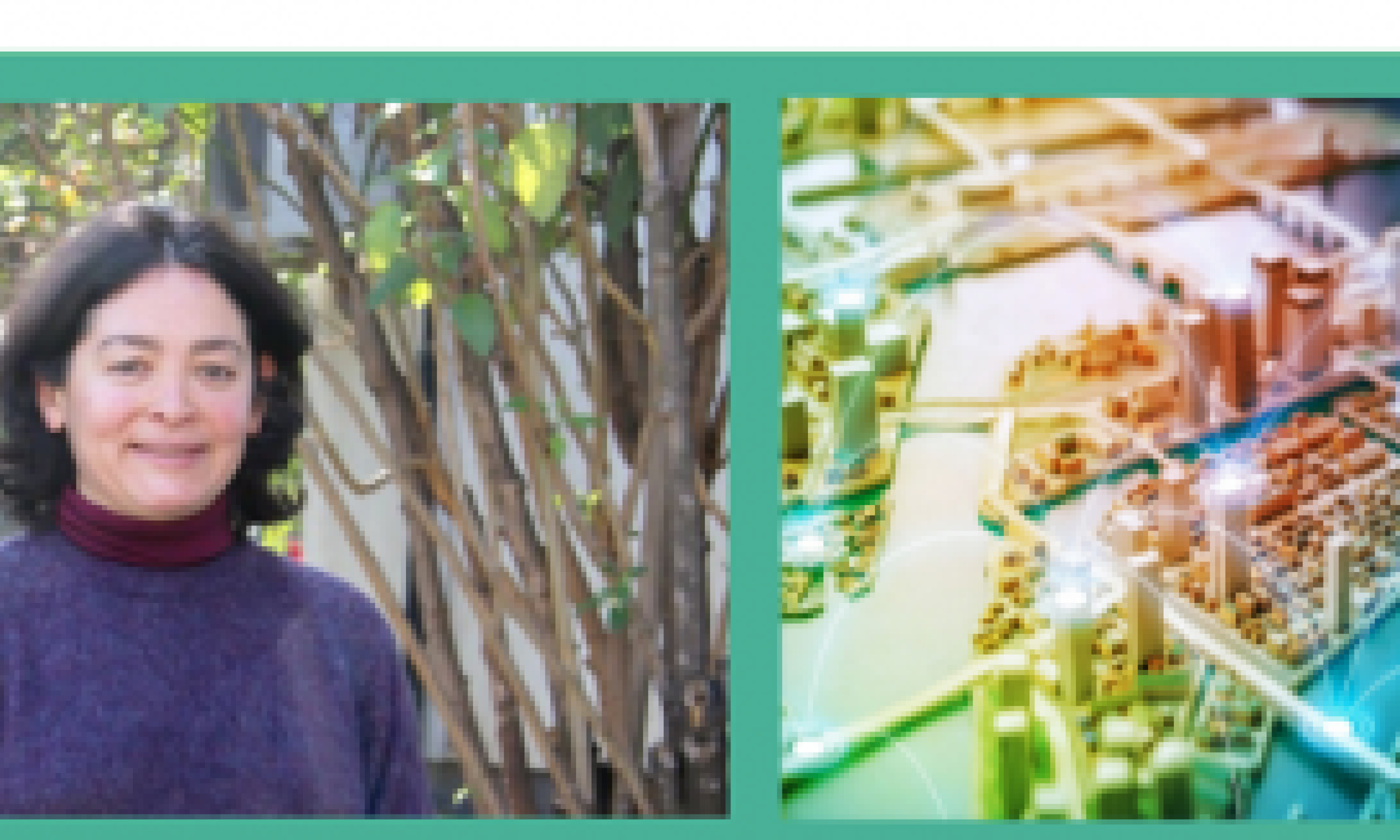 Académica IDEA Usach participa del Programa "Peñalolén más Verde" 