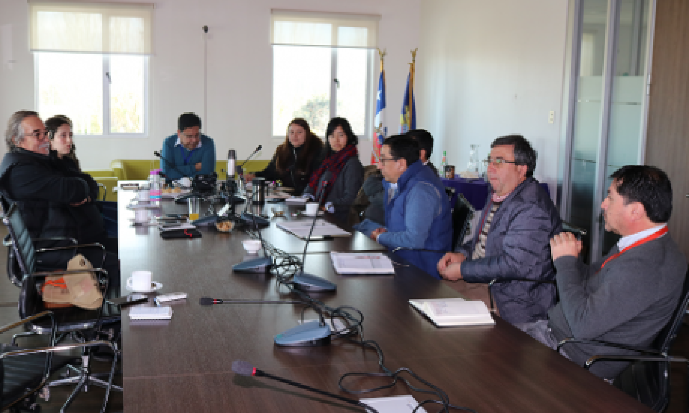 Comuna de Palmilla recibirá aportes de tesistas Usach en riesgo ambiental y eficiencia energética