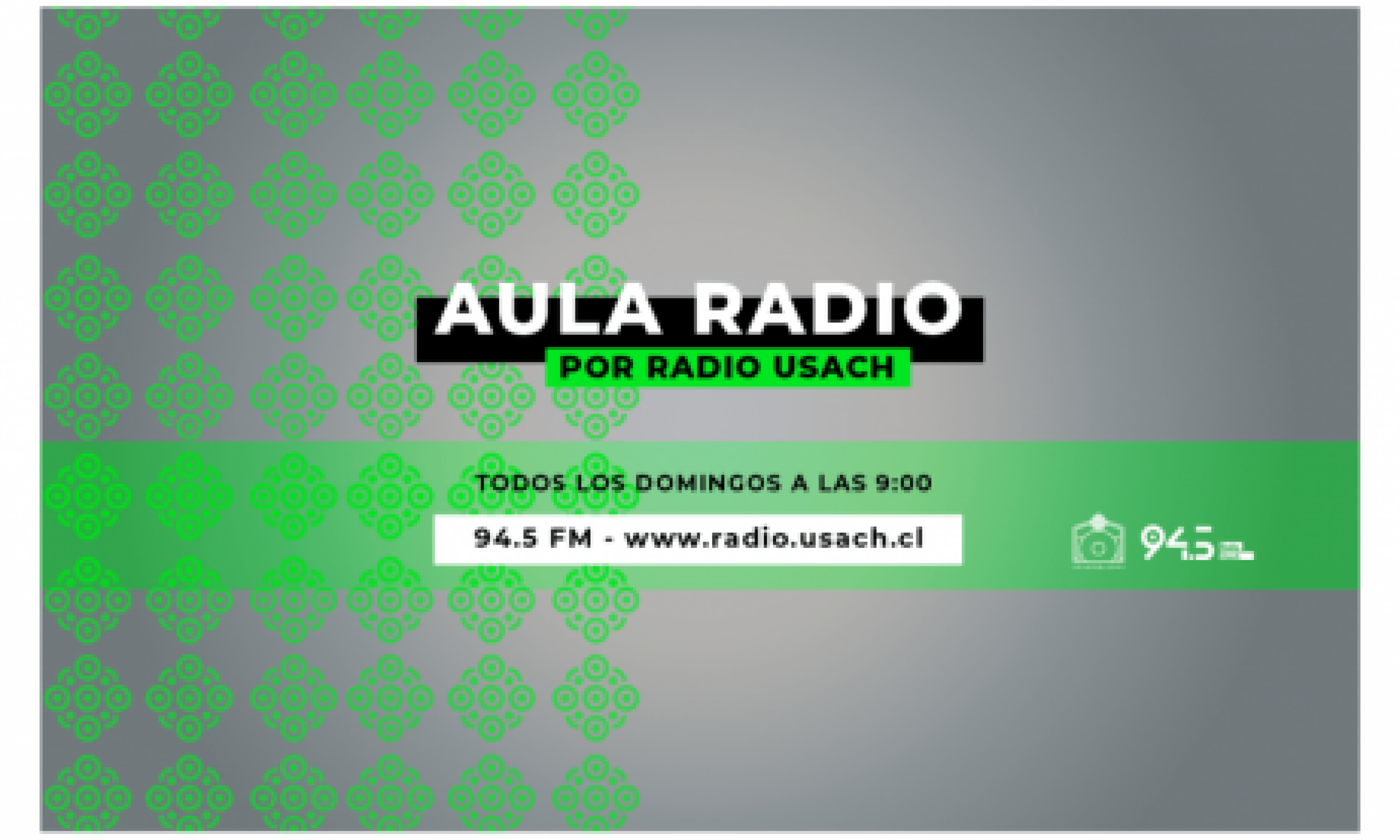 Música chilena en el aire: Aula Records estrena programa en Radio Usach
