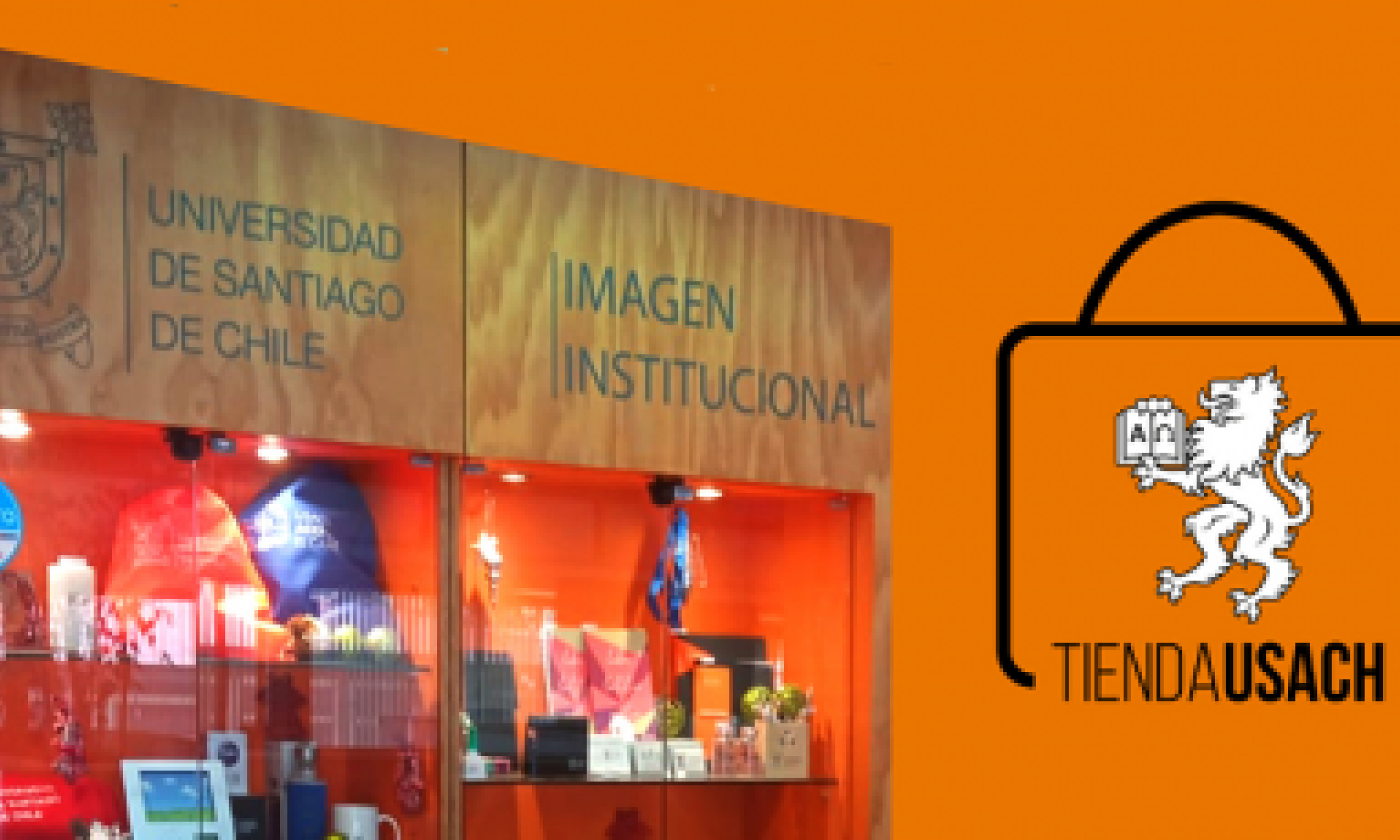 Revisa el catálogo actualizado de la Tienda USACH