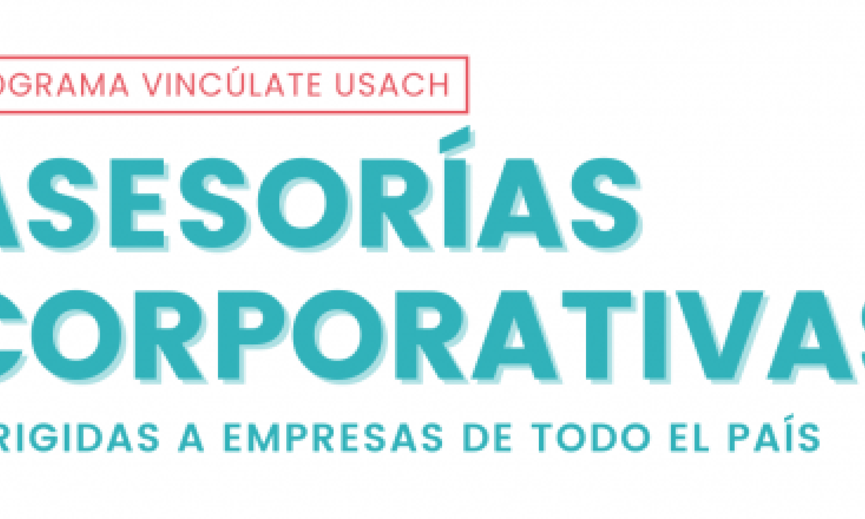 Empresas y organizaciones convocadas al Programa Vincúlate Usach