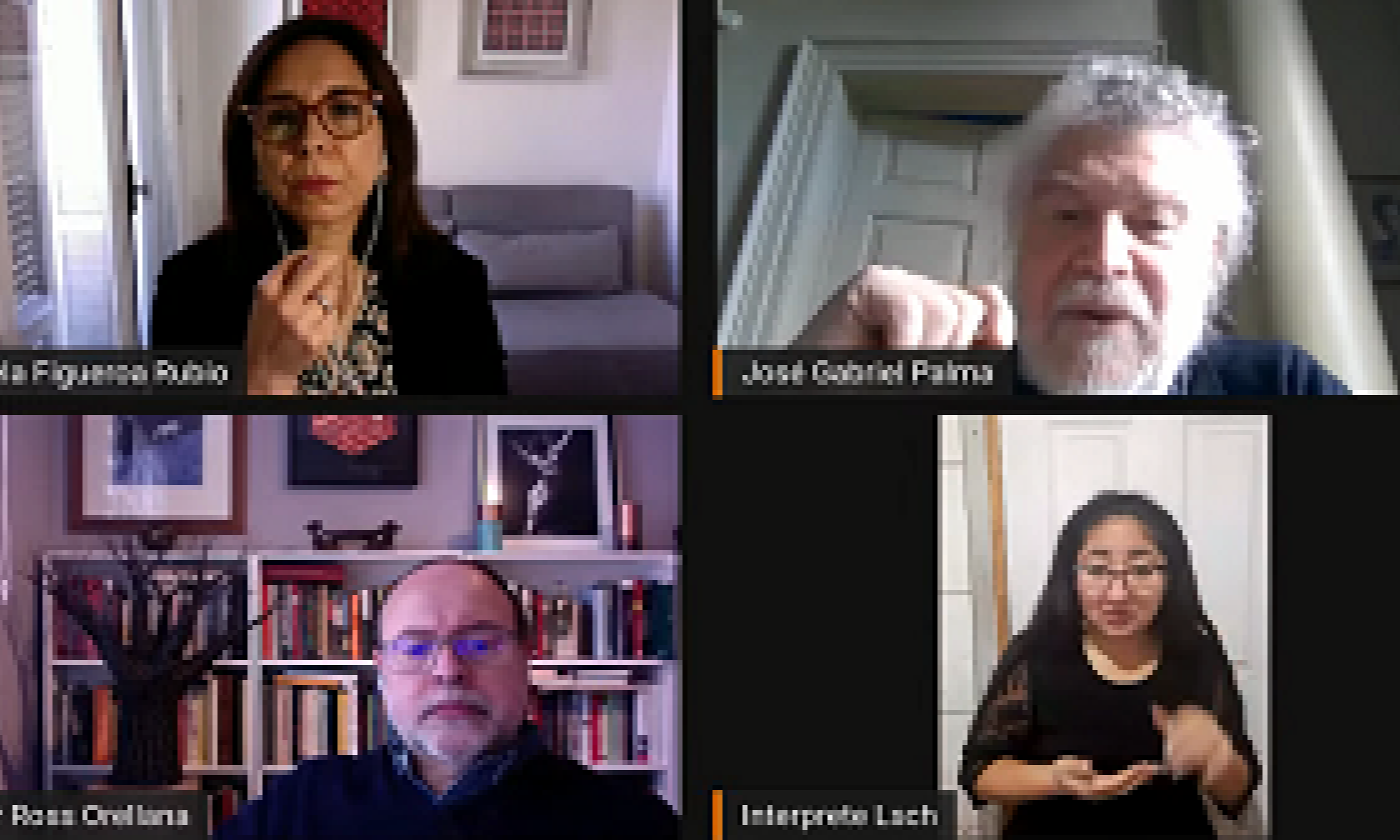 Dr. José Gabriel Palma analizó modelos de desarrollo y cambio constitucional en webinar de Usach Constituyente