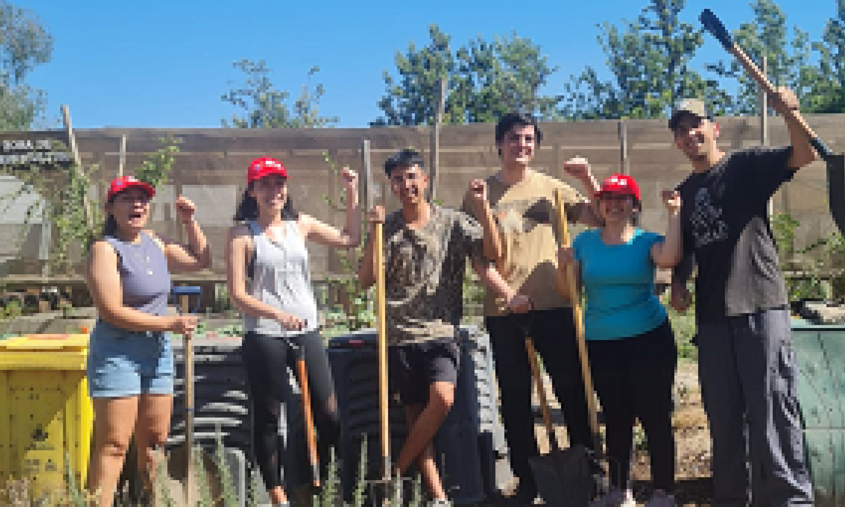 Centros de prácticas profesionales: Usach realiza pilotaje de programa junto a los municipios de Maipú e Independencia