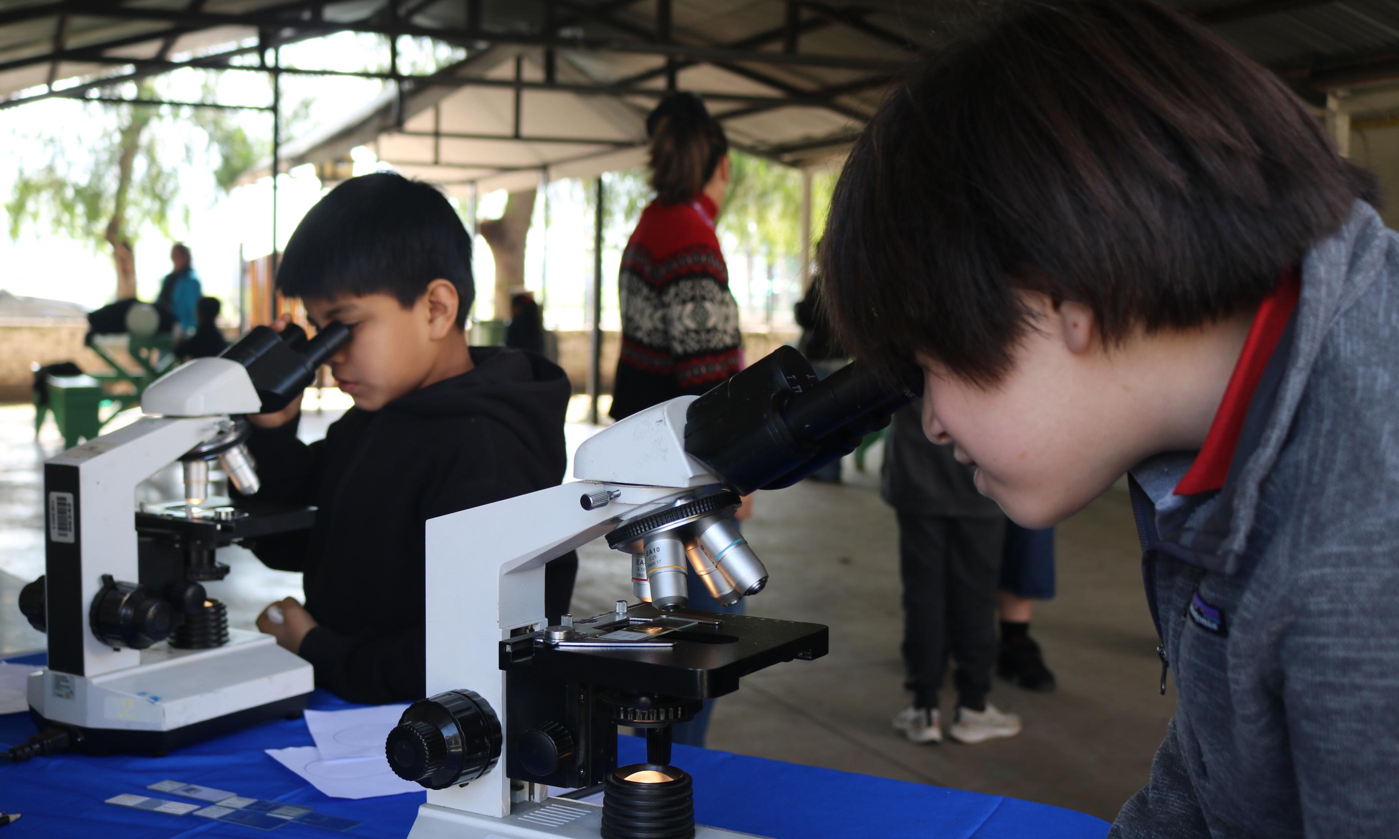 Dos estudiantes observando muestras orgánicas en microscopios.