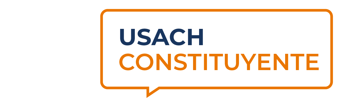 Informes Breves de Política Pública - Usach Constituyente